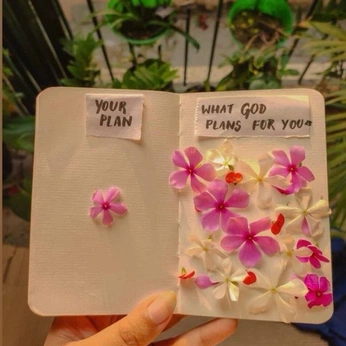 A cover of "Peace & Comfort" cluster. The owner is teganbailey. The cluster consists of 7 elements.