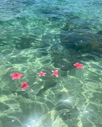 A cover of "Summer" cluster. The owner is cjrose. The cluster consists of 1 element.