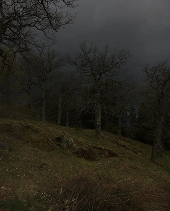 A cover of "envi" cluster. The owner is mayorfrogger. The cluster consists of 68 elements.