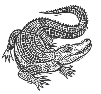 A cover of "Lino" cluster. The owner is mxsunshine. The cluster consists of 1 element.