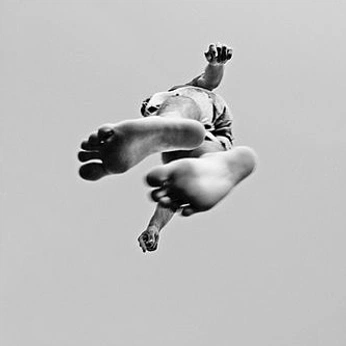 A cover of "FIFA" cluster. The owner is dingusdangus. The cluster consists of 16 elements.