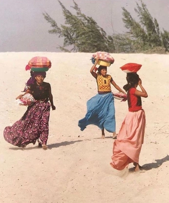 A cover of "humans" cluster. The owner is lucaskuefner. The cluster consists of 48 elements.