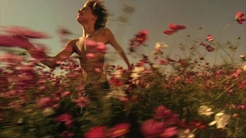 A cover of "Lady bird" cluster. The owner is woriz. The cluster consists of 17 elements.