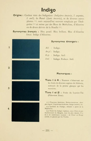 A cover of "Color" cluster. The owner is danicortv. The cluster consists of 2 elements.