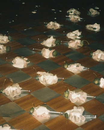 A cover of "GAMBIT" cluster. The owner is nolwennig. The cluster consists of 53 elements.