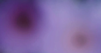 A cover of "website" cluster. The owner is salvadorxe. The cluster consists of 168 elements.