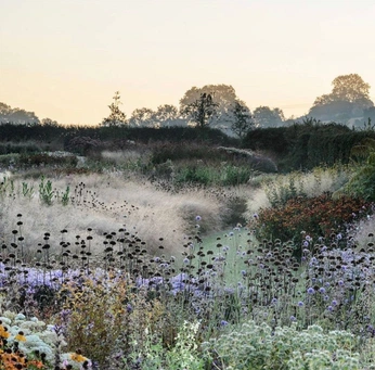 A cover of "Garden" cluster. The owner is sophlr. The cluster consists of 9 elements.