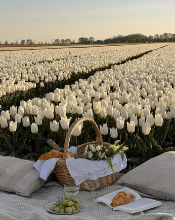 A cover of "𝐬𝐮𝐧’" cluster. The owner is 5alom328. The cluster consists of 5 elements.