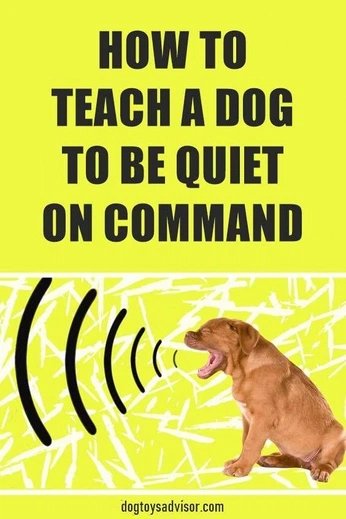 A cover of "Pets" cluster. The owner is autumnghoul. The cluster consists of 37 elements.