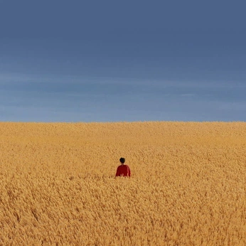 A cover of "line" cluster. The owner is leonog. The cluster consists of 4 elements.