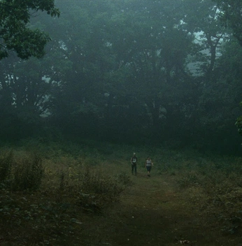 A cover of "nature" cluster. The owner is artnymphx. The cluster consists of 94 elements.