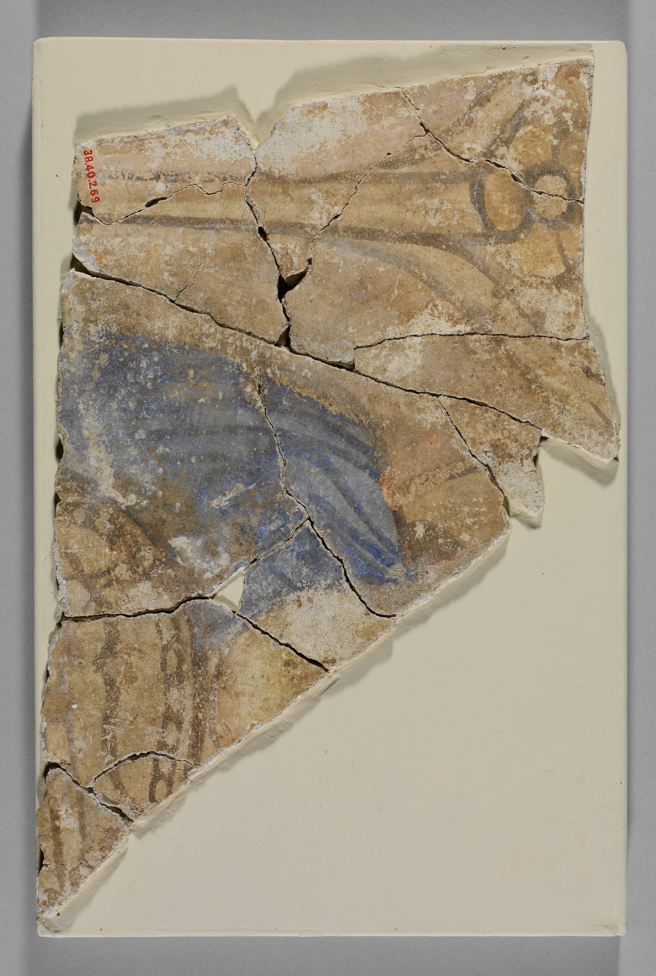 Shoulder of a Figure with Blue Drapery