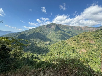 A cover of "Nature" cluster. The owner is jv.suresh. The cluster consists of 31 elements.