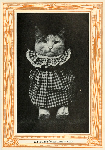 A cover of "Random Graphics" cluster. The owner is goodbones.design. The cluster consists of 5 elements.