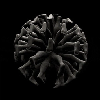 A cover of "AI" cluster. The owner is jana.sophie. The cluster consists of 32 elements.