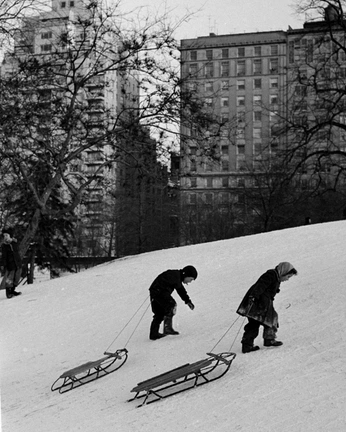 A cover of "zoo story" cluster. The owner is cont3. The cluster consists of 5 elements.