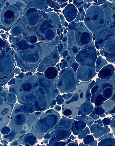 Element #2030456058 / Cosmos