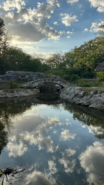 A cover of "Verdecito" cluster. The owner is kattkittykat. The cluster consists of 5 elements.