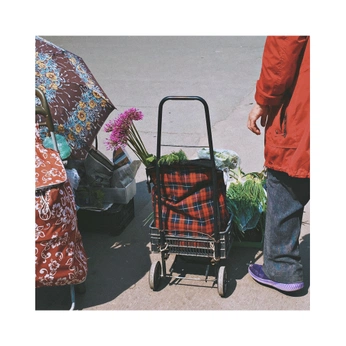 A cover of "Carrito (...)" cluster. The owner is pablopiedra. The cluster consists of 2 elements.