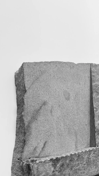 A cover of "chase" cluster. The owner is jessgracey. The cluster consists of 351 elements.