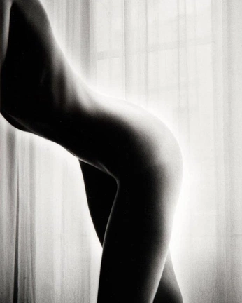 A cover of "body" cluster. The owner is pyona. The cluster consists of 21 elements.