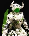 Cover of BIONICLE cluster