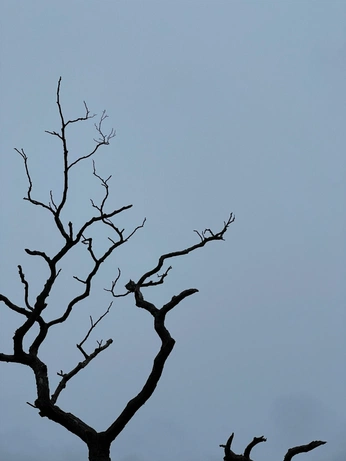 A cover of "pausa" cluster. The owner is kyeomrua. The cluster consists of 140 elements.