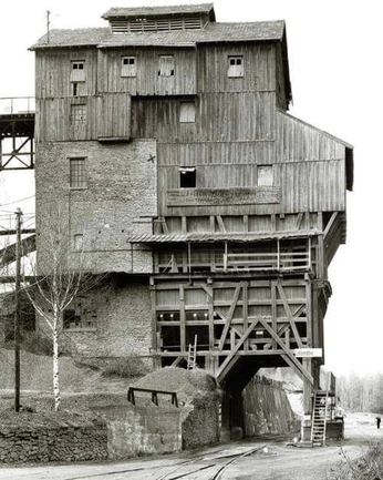 A cover of "moo moo" cluster. The owner is ivyleague. The cluster consists of 63 elements.