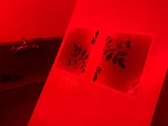 A cover of "Red" cluster. The owner is claris. The cluster consists of 27 elements.