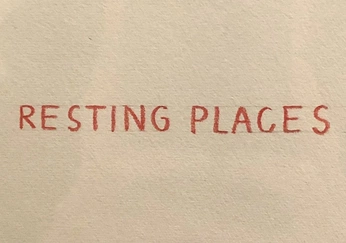 A cover of "feels" cluster. The owner is misstaylorhunter. The cluster consists of 28 elements.