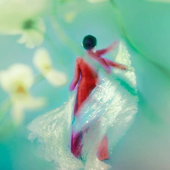 A cover of "Atmos x Tintoreria" cluster. The owner is dmtr.x. The cluster description is "Editorial blending nature, sustainability and photography.". The cluster consists of 47 elements.