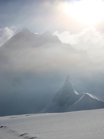 A cover of "pretty and weird" cluster. The owner is bloomcore. The cluster consists of 18 elements.