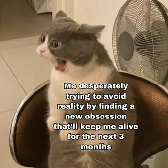 A cover of "me" cluster. The owner is lemonjuiceissour. The cluster consists of 8 elements.