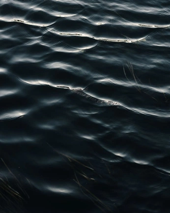 A cover of "Percy Jackson" cluster. The owner is elbe30. The cluster consists of 3 elements.