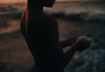 A cover of "film" cluster. The owner is somsupanuch. The cluster consists of 2 elements.