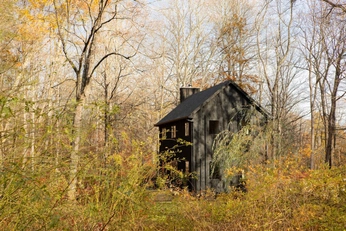 A cover of "Home" cluster. The owner is eertmoed.studio. The cluster consists of 3 elements.