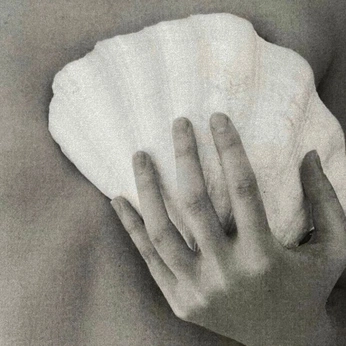 A cover of "AP" cluster. The owner is avo444. The cluster description is "personal brand". The cluster consists of 19 elements.