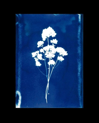 A cover of "Tinker" cluster. The owner is cosmicvisibility. The cluster consists of 1 element.