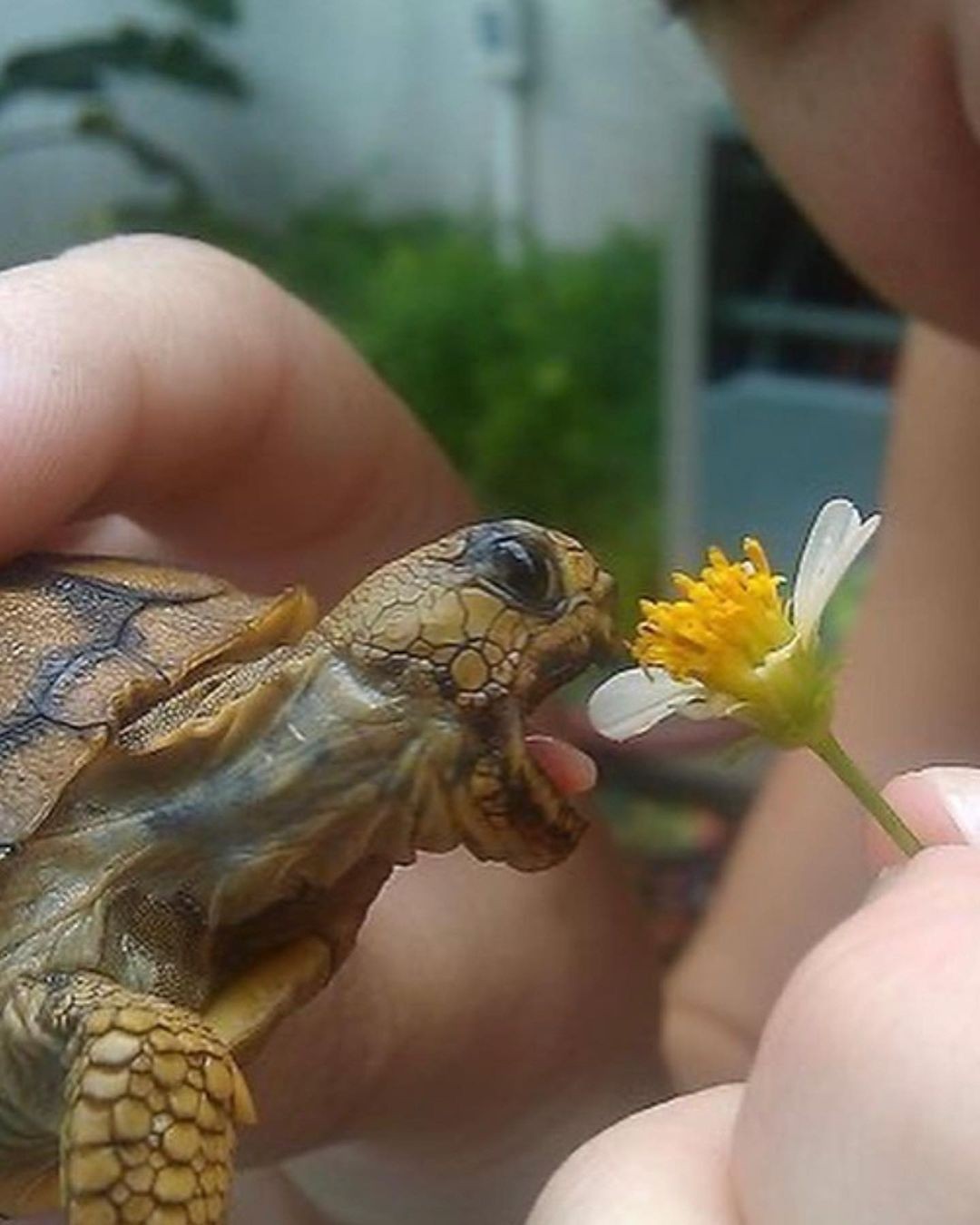 An Instagram carousel post added by colindancel on Jul 27, 2023. The author is @saint.