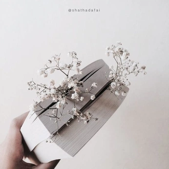 A cover of "a. ncd: nana" cluster. The owner is romdata. The cluster description is "nana". The cluster consists of 7 elements.