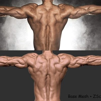 A cover of "Anatomy References" cluster. The owner is artbythedarkside. The cluster consists of 43 elements.