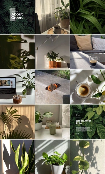 A cover of "feed" cluster. The owner is keish.studio. The cluster consists of 10 elements.