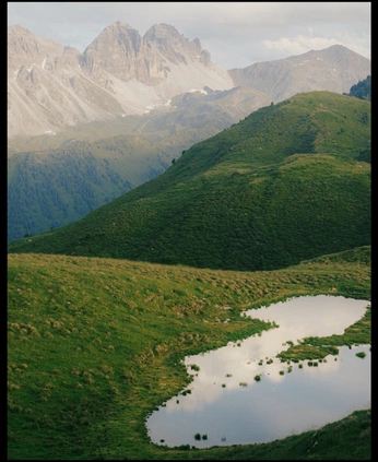 A cover of "Flower" cluster. The owner is valen033. The cluster consists of 18 elements.