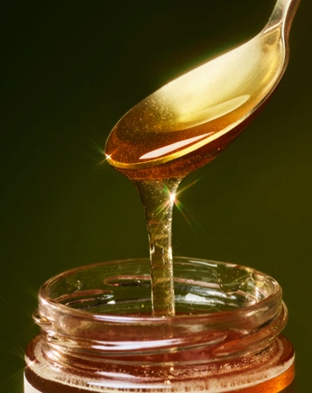 A cover of "Beey" cluster. The owner is katemcc. The cluster consists of 17 elements.