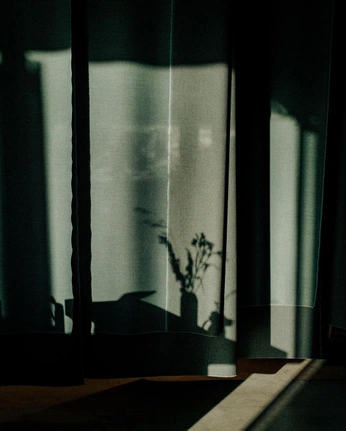 A cover of "Ase_•" cluster. The owner is kiramoon. The cluster consists of 5 elements.