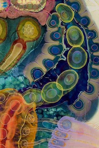 A cover of "Hayvita'zoi" cluster. The owner is pindorama. The cluster consists of 150 elements.