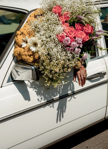 A cover of "Bikes" cluster. The owner is dnkbacker. The cluster consists of 60 elements.