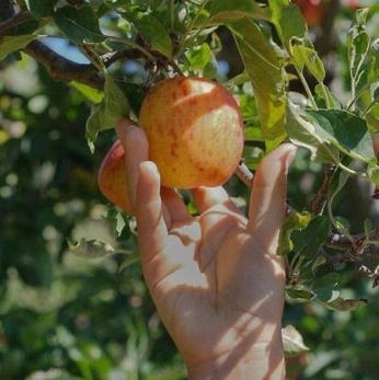 A cover of "Marmelade" cluster. The owner is studiorosini. The cluster consists of 13 elements.