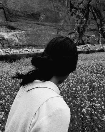 A cover of "Photography" cluster. The owner is barbaramattosc. The cluster consists of 52 elements.