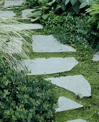 A cover of "+ paving -- rockwork" cluster. The owner is unarchitect. The cluster consists of 3 elements.